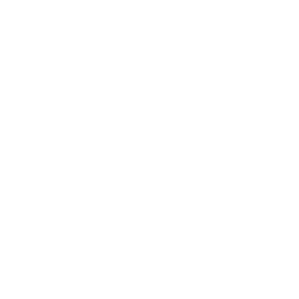 Zplay Logo